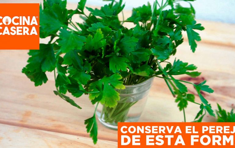 How to Store Parsley fresh for long time