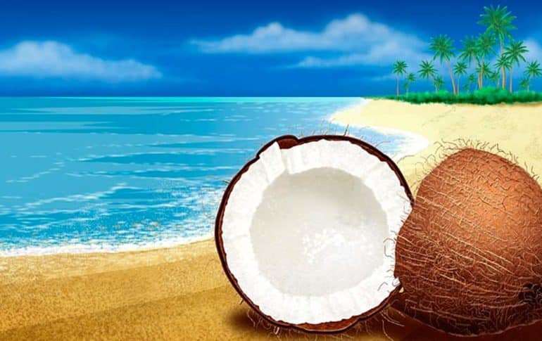 Coconut Milk: properties, benefits and contraindications