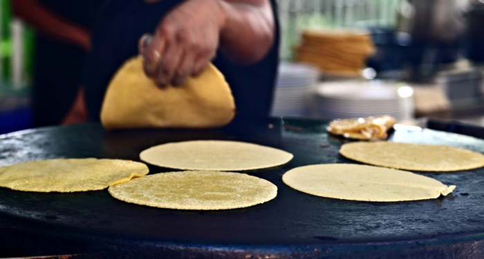 Tortillas de maíz. Receta mexicana fácil