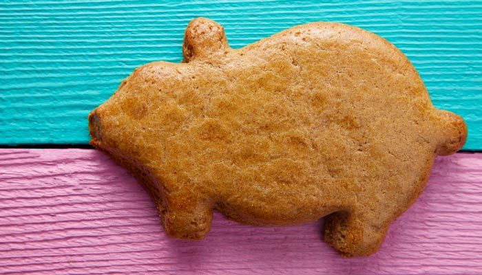 Puerquitos de piloncillo. Receta mexicana