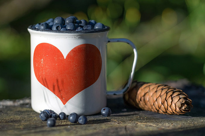 Atole de arándanos. Receta mexicana fácil