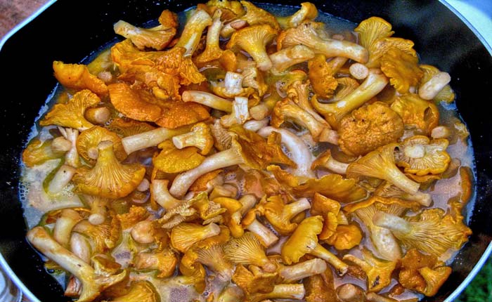 Caldo de setas rojo. Receta fácil