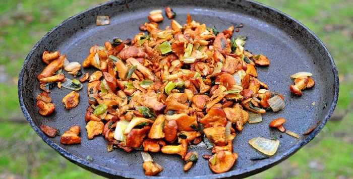 Discada estilo Sonora. Receta mexicana