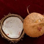 El Coco, una fruta con muchos beneficios