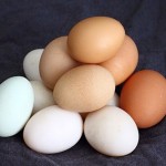 Aprende a evitar intoxicaciones en verano con tus alimentos