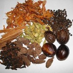 Significado y definición de Garam masala