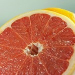Definición y significado de albedo en cocina