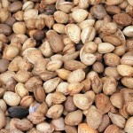 Todo sobre los antioxidantes