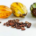 Los beneficios del consumo de cacao