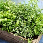 Definición y significado de Perfumar en cocina