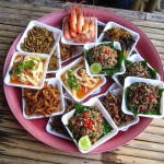 Comer insectos para combatir el hambre