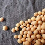 La soja: propiedades y beneficios