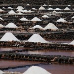 Algunos tipos de sal y su uso en cocina