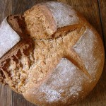 La espelta: propiedades y beneficios