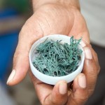 Propiedades y beneficios del consumo de espirulina