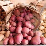Los efectos tóxicos de las patatas