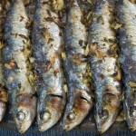 Sardinas al horno