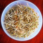 La importancia de los germinados en la alimentación