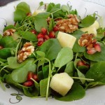 Ensalada de Berros con Manzana, Granada y Nueces