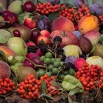 Frutoterapia: el Poder Sanador de las Frutas