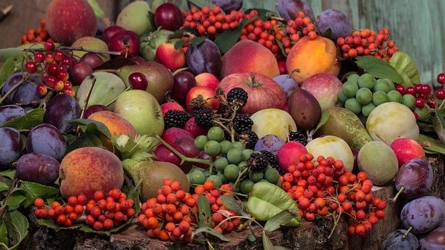 Frutoterapia: el Poder Sanador de las Frutas