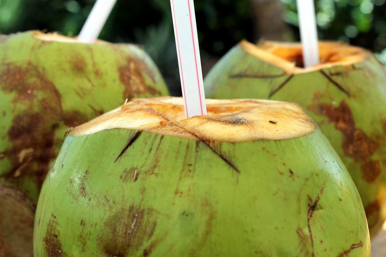 Coconut with straw