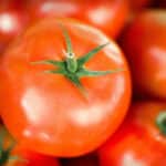 El tomate: Propiedades y recetas