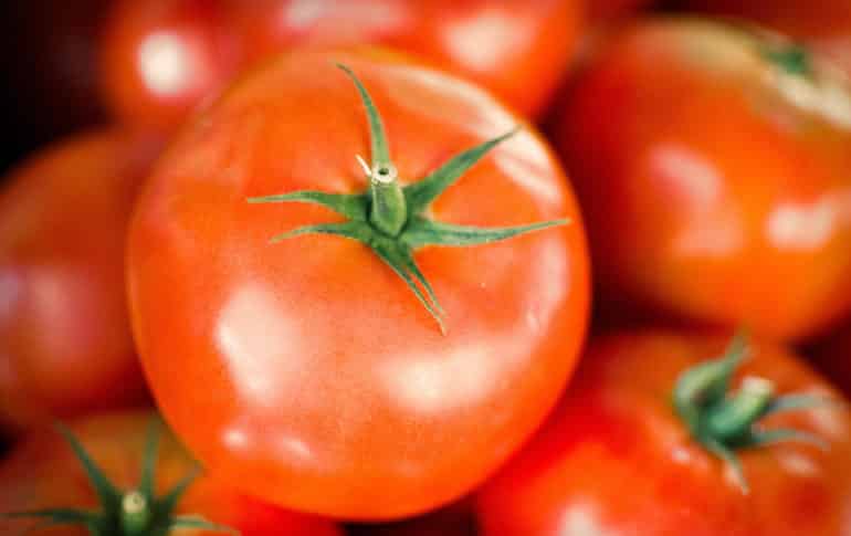 El tomate: Propiedades y recetas