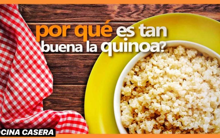 La Quinoa: Superalimento, Propiedades y Beneficios