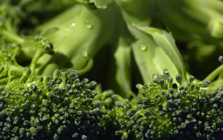 El brócoli: Beneficios y recetas