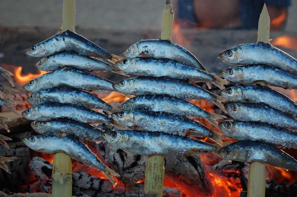 Espeto de sardinas. Receta de Málaga