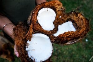 Los sorprendentes usos del aceite de coco