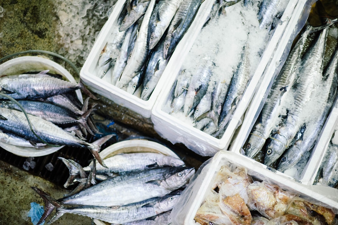 Consejos para comprar pescado fresco