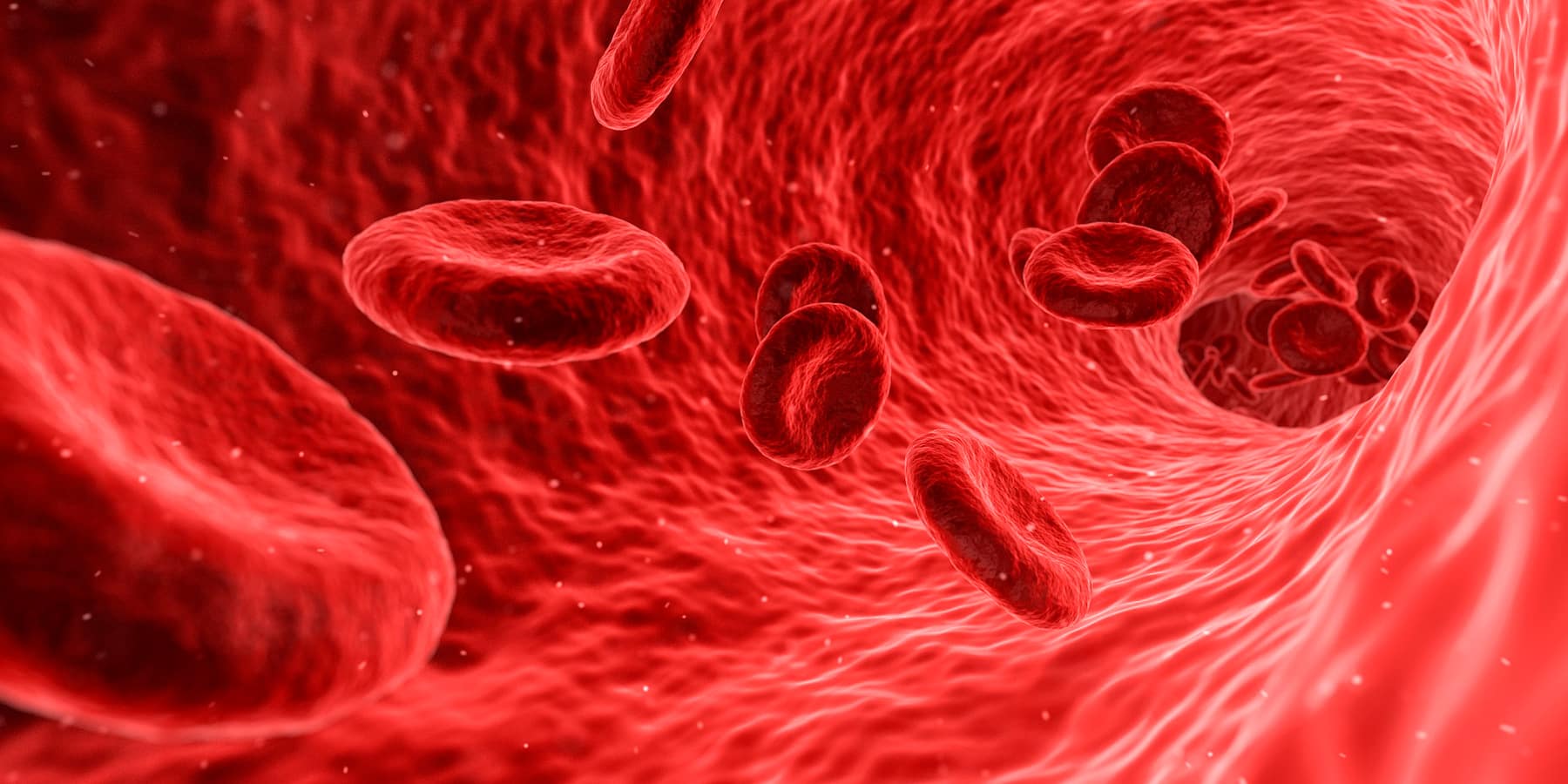 Hiperpotasemia: El peligro de tener el potasio alto en sangre
