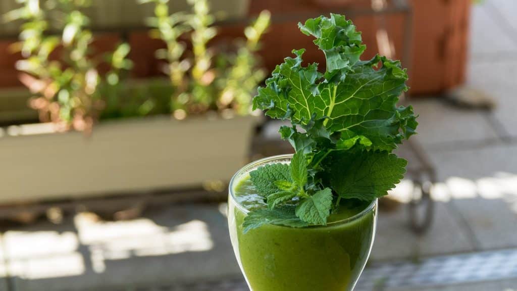 Col rizada o Kale: Descubre todos los beneficios de este superalimento