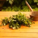 El Cilantro Sus propiedades y usos en la cocina