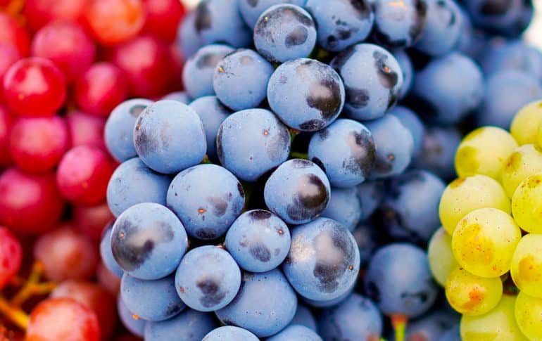 Las uvas: Cinco propiedades y razones para comerlas durante este otoño