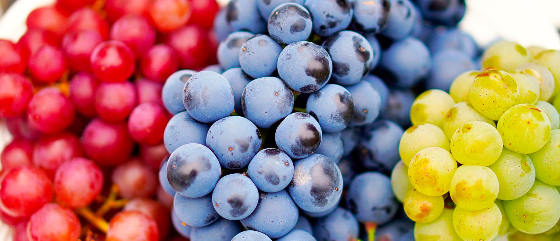Las uvas: Cinco propiedades y razones para comerlas durante este otoño
