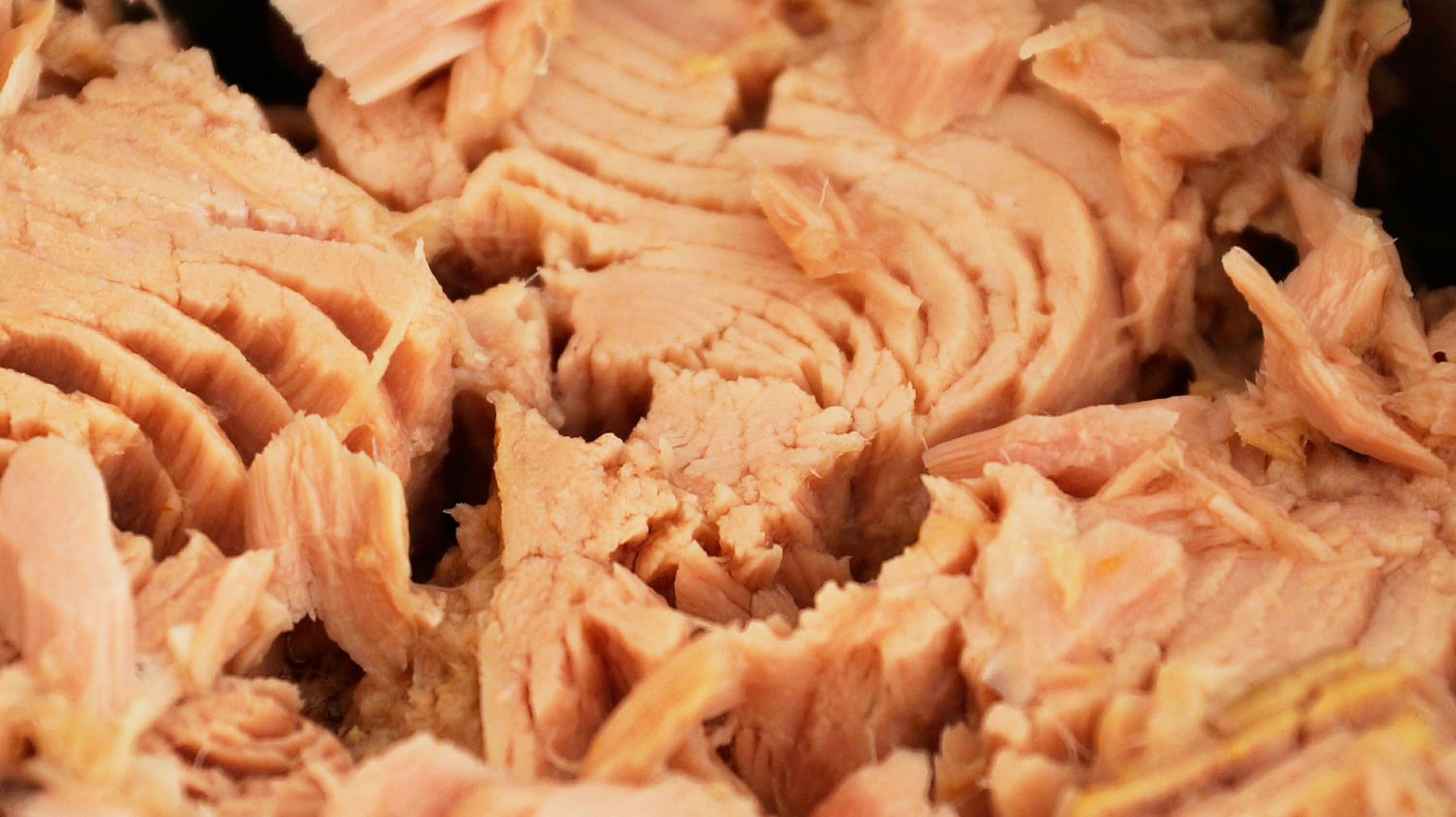 Cinco recetas con atún deliciosas y saludables que no tienen desperdicio