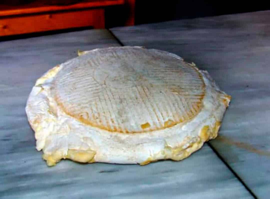 Queso Flor de Guía