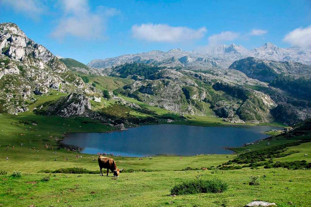 Naturaleza y gastronomía en Asturias a partes iguales