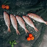 Los pescados más saludables y cómo cocinarlos