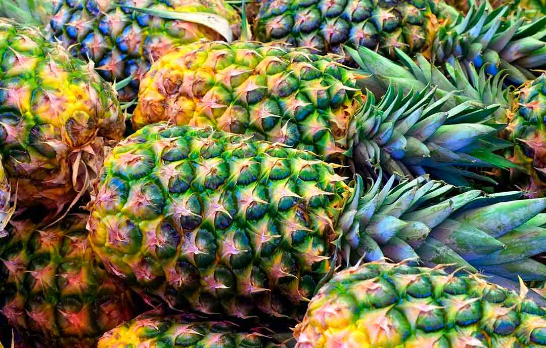 Frutas tropicales que se producen en España - Recetas de Cocina Casera