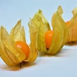 Physalis: qué es, propiedades y usos en la cocina