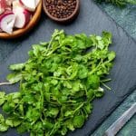 Cilantro: Qué es, Propiedades y Usos en la cocina